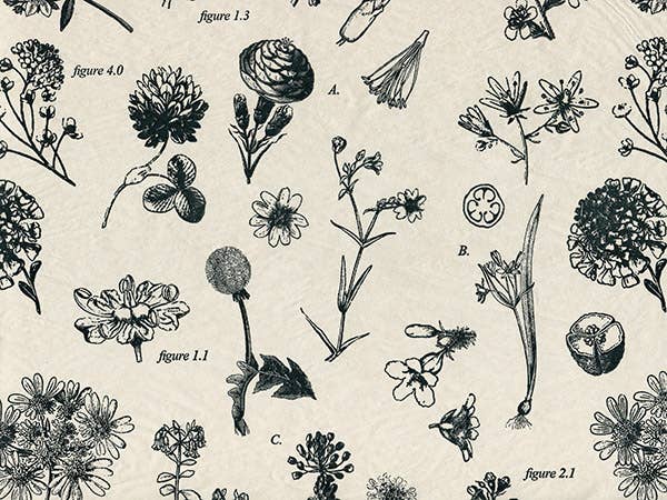 Floral & Nature Print Tissue Paper Sheets