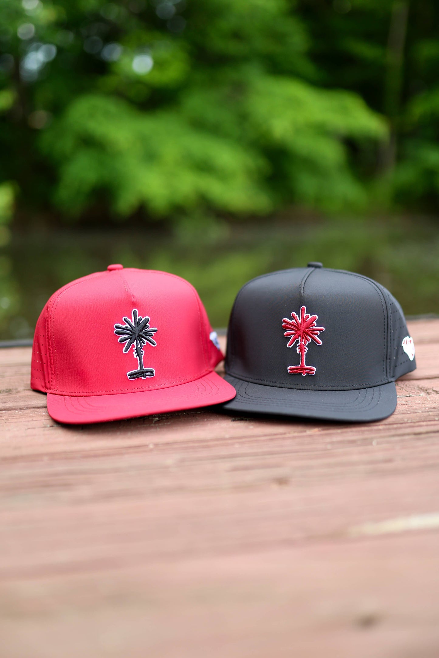 South Carolina Football Black Palmetto Snapback Hat