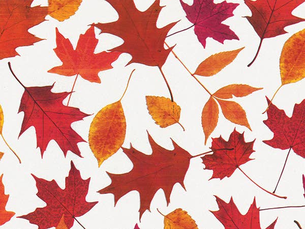 Floral & Nature Print Tissue Paper Sheets