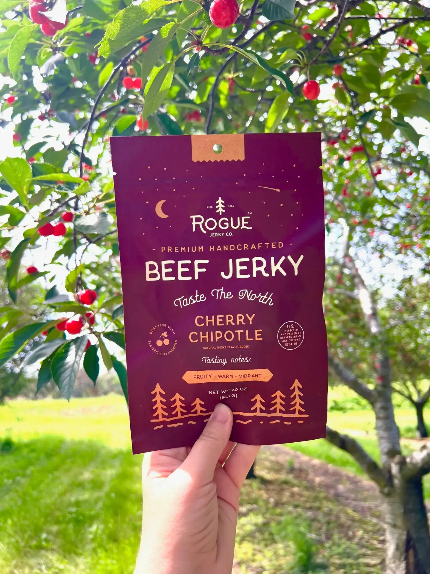 Rogue Jerky Starter Pack - 4 Of Each Flavor - Premium Jerky