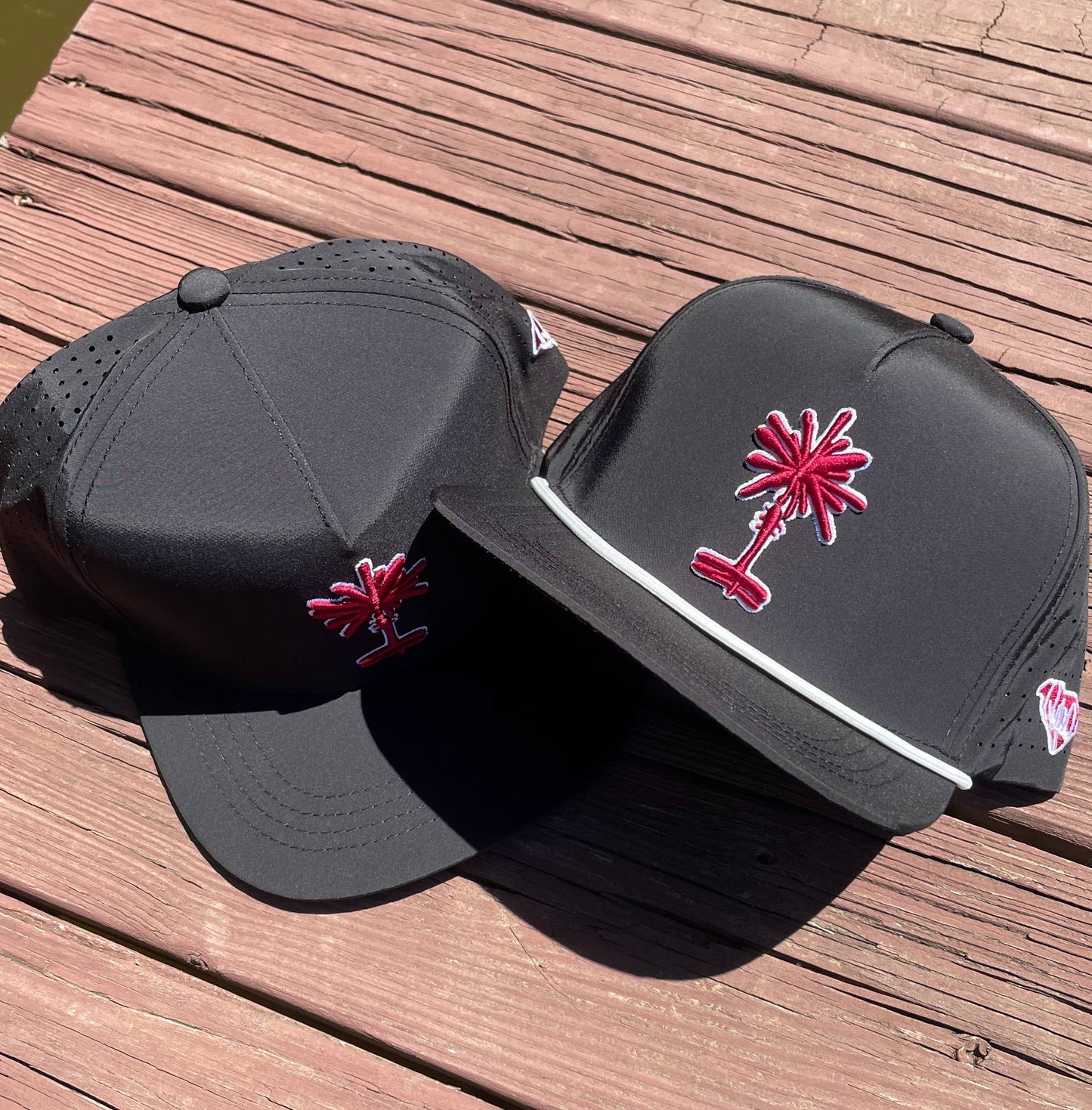 South Carolina Football Black Palmetto Snapback Hat