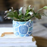 Mended Soul Planter | Blue